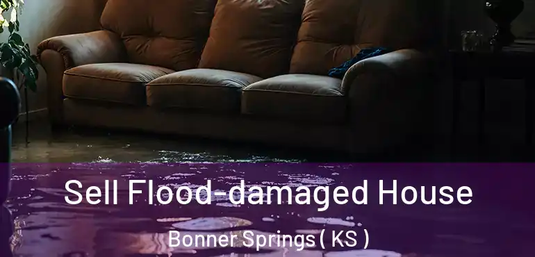  Sell Flood-damaged House Bonner Springs ( KS )