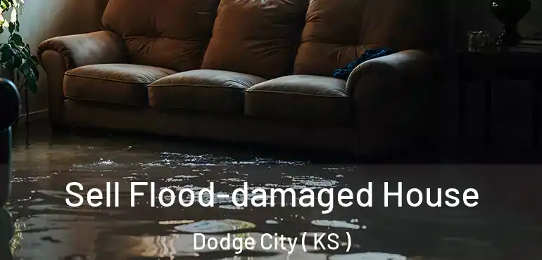 Sell Flood-damaged House Dodge City ( KS )