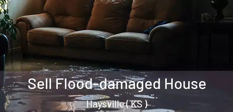  Sell Flood-damaged House Haysville ( KS )