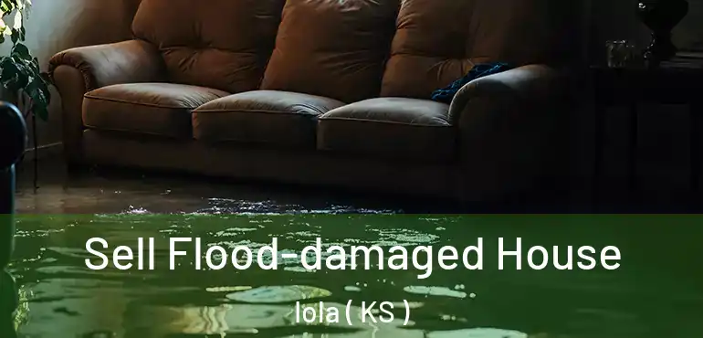  Sell Flood-damaged House Iola ( KS )
