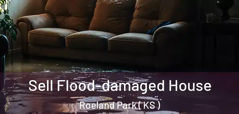  Sell Flood-damaged House Roeland Park ( KS )
