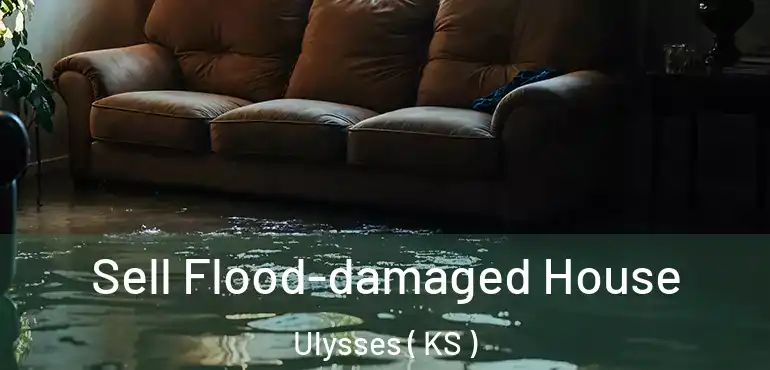  Sell Flood-damaged House Ulysses ( KS )