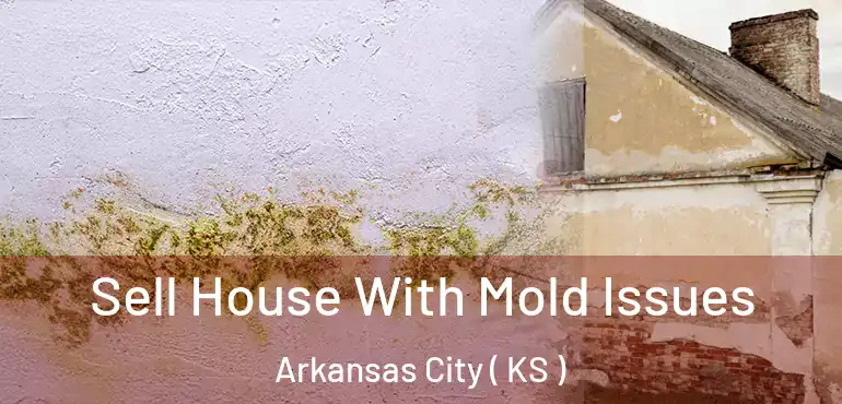  Sell House With Mold Issues Arkansas City ( KS )