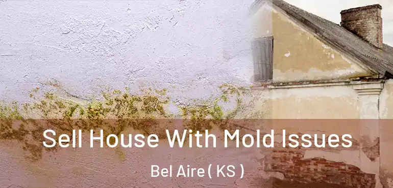  Sell House With Mold Issues Bel Aire ( KS )