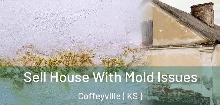  Sell House With Mold Issues Coffeyville ( KS )