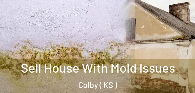  Sell House With Mold Issues Colby ( KS )