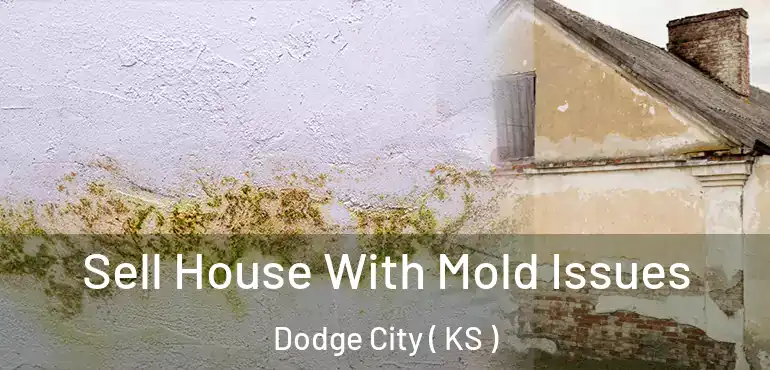  Sell House With Mold Issues Dodge City ( KS )