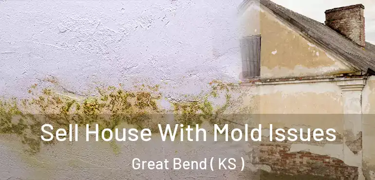 Sell House With Mold Issues Great Bend ( KS )
