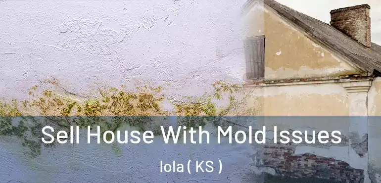  Sell House With Mold Issues Iola ( KS )
