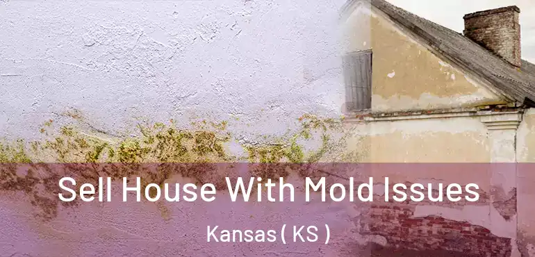  Sell House With Mold Issues Kansas ( KS )
