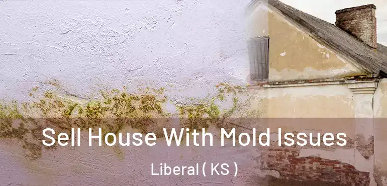  Sell House With Mold Issues Liberal ( KS )