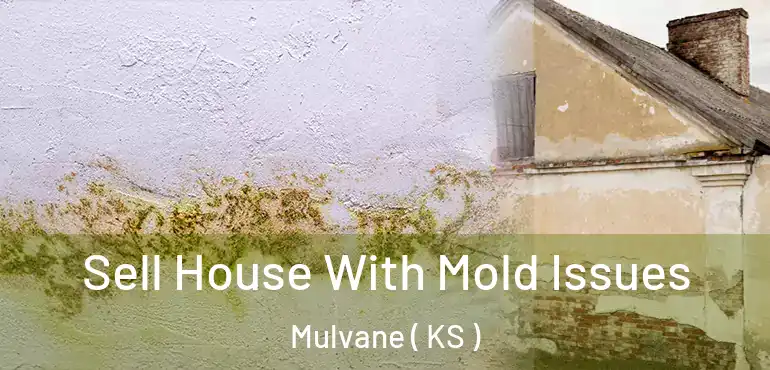  Sell House With Mold Issues Mulvane ( KS )