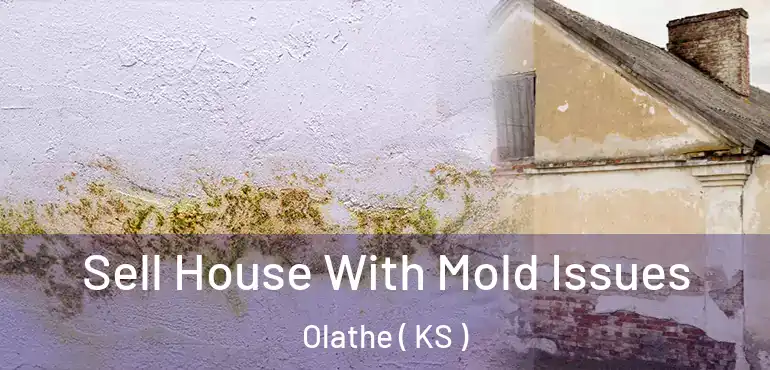  Sell House With Mold Issues Olathe ( KS )