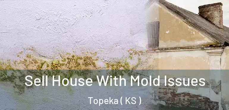  Sell House With Mold Issues Topeka ( KS )