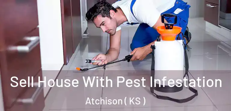 Sell House With Pest Infestation Atchison ( KS )