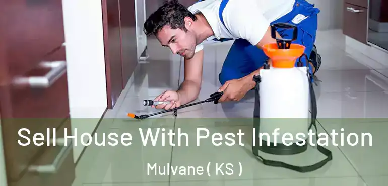  Sell House With Pest Infestation Mulvane ( KS )